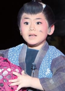 辰己鯉太郎写真画像